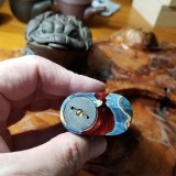 20170522_135232_zpsvzzermm7