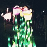 20171015_204205