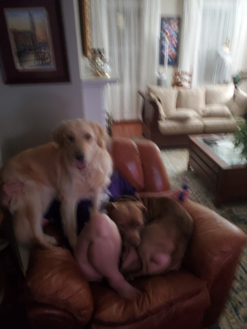 20210103_195033.jpg