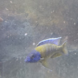 20210710_111311
