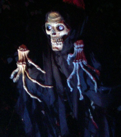 DSCN0137.jpg