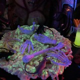 DSCN0159
