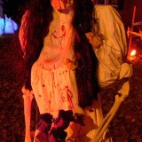 DSCN0188