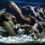 DSCN0799_zps5084884c