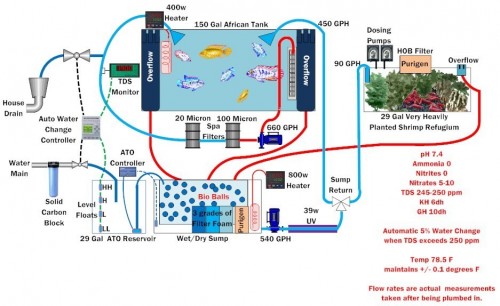 Fish_filtration_zps12yhshgx.jpg